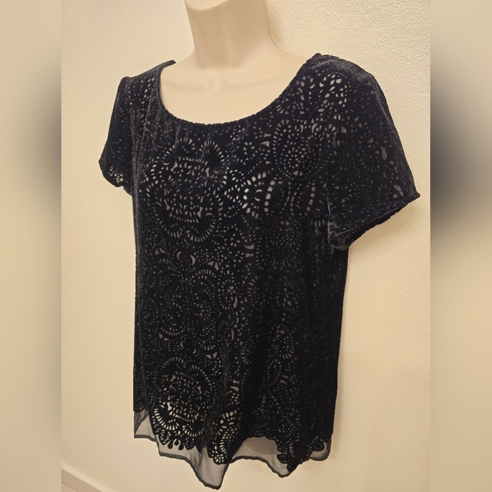 EUC Loft black Velvet Burnout Lace Short Sleeve Blouse - Picture 3 of 5